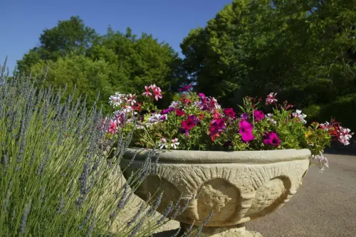 Camping Domaine de la Paille Basse - Soulliac, Dordogne, France