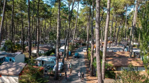 Camping Le Vieux Port - Messanges, Nouvelle-Aquitaine, Sud de la France