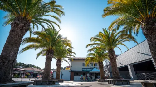 Camping Le Vieux Port - Messanges, Nouvelle-Aquitaine, Sud de la France