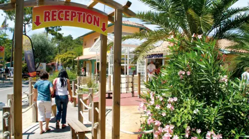 Camping Le Vieux Port - Messanges, Nouvelle-Aquitaine, Sud de la France