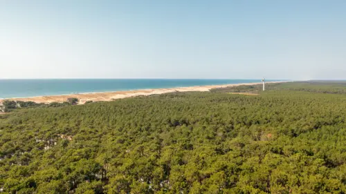 Camping Le Vieux Port - Messanges, Nouvelle-Aquitaine, Sud de la France