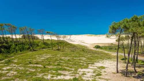 Camping Le Vieux Port - Messanges, Nouvelle-Aquitaine, Sud de la France