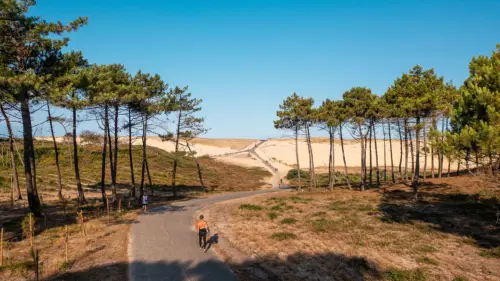 Camping Le Vieux Port - Messanges, Nouvelle-Aquitaine, Sud de la France