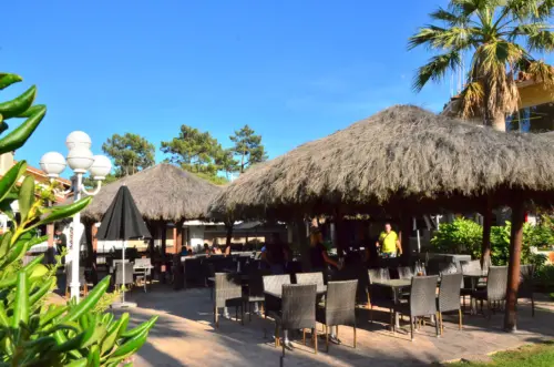 Camping Le Vieux Port - Messanges, Nouvelle-Aquitaine, Sud de la France