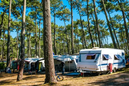 Camping Le Vieux Port - Messanges, Nouvelle-Aquitaine, Sud de la France