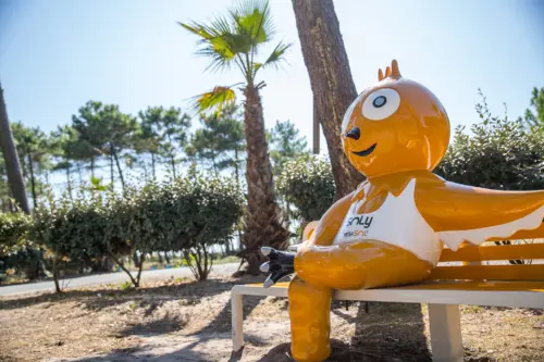 Camping Le Vieux Port - Messanges, Nouvelle-Aquitaine, Sud de la France