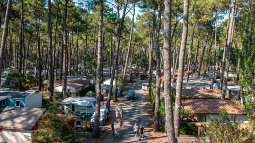 Camping Le Vieux Port - Messanges, Nouvelle-Aquitaine, Sud de la France