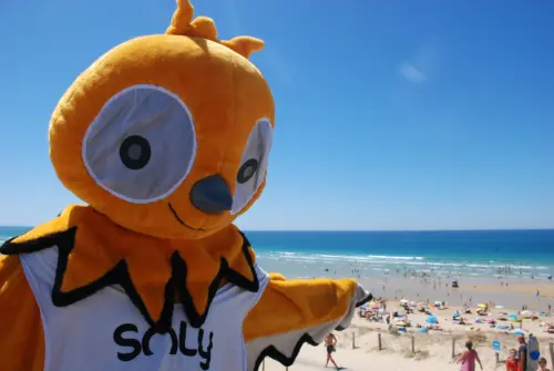 Camping Le Vieux Port - Messanges, Nouvelle-Aquitaine, Sud de la France