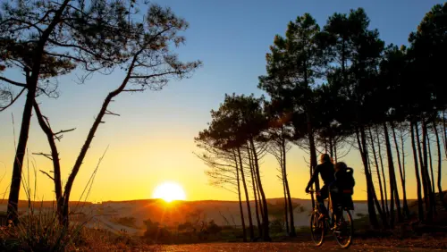 Camping Le Vieux Port - Messanges, Nouvelle-Aquitaine, Sud de la France